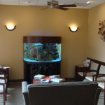 Fish tank in reception area