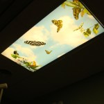 Patient operatory with decorated light panel
