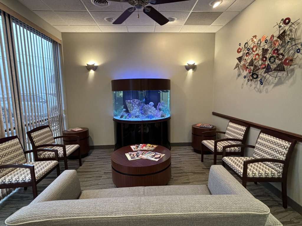 View from the sofa facing a large curved fish tank in a modern dental office waiting area.