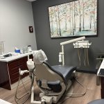 Dental treatment room with a central patient chair, overhead lamp, instrument tray, side cabinets, and framed wall art depicting a forest scene